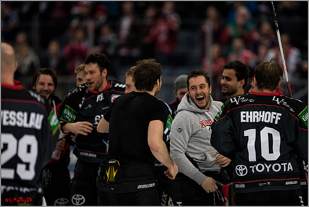 DEL, Koelner Haie - Augsburger Panther, 13.01.2017